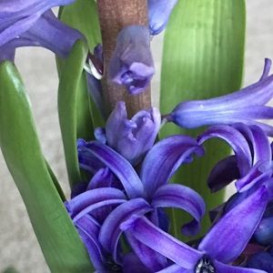 Meet your Posher, Sun